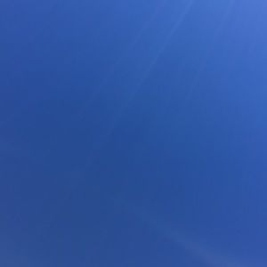 Meet your Posher, Beau